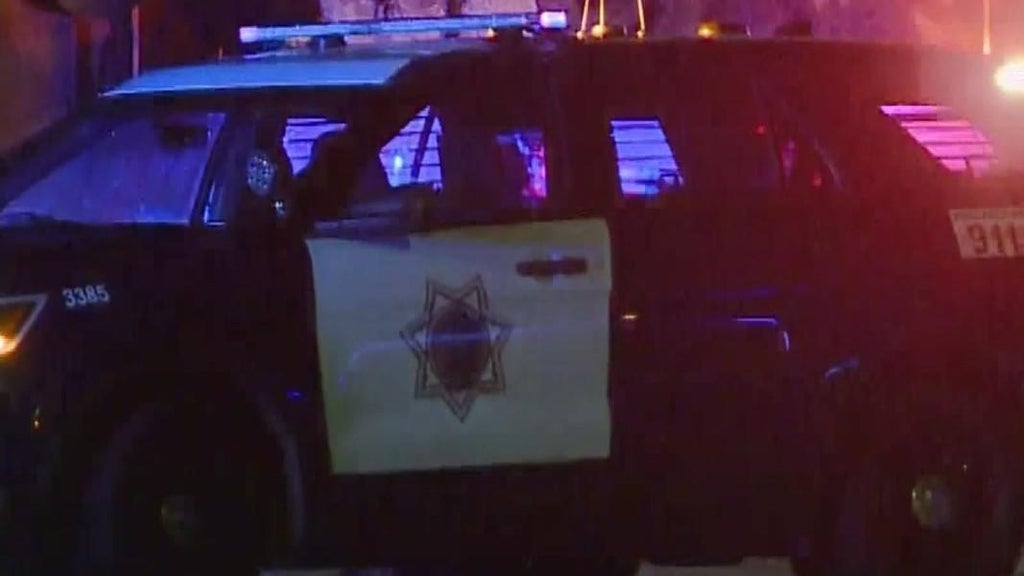 San Jose teens involved in traffic stop that preceded police shooting, attempted carjacking — CBS Bay Area (KPIX), St. Louis Park Schools news