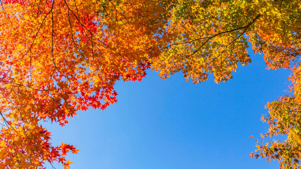 More near-record warmth Monday in Minnesota ahead of big cooldown — WCCO / CBS Minnesota, St. Louis Park Community news