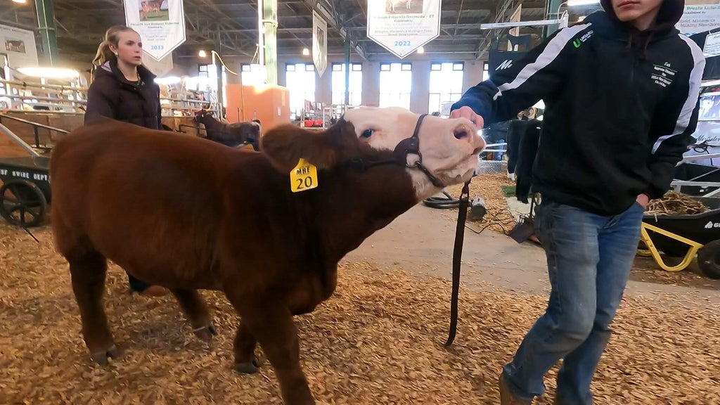 Spotlight on beef as Minnesota midterms near — WCCO / CBS Minnesota, St. Louis Park Community news