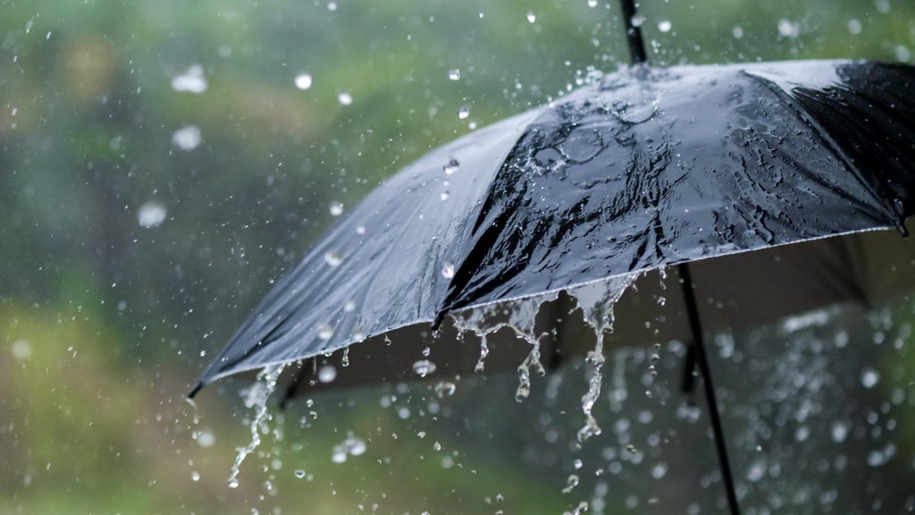 Widespread rain in Minnesota Monday; milder air returns Tuesday — WCCO / CBS Minnesota, St. Louis Park Community news