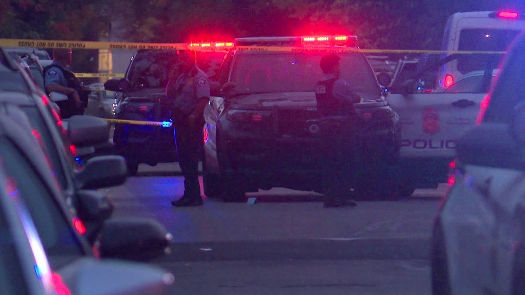 Officer fires gun after armed carjacking, squad car hit by stolen car — WCCO / CBS Minnesota, St. Louis Park Health news