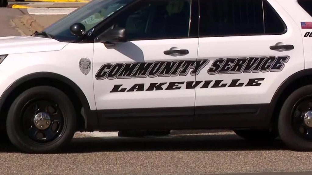 Lakeville man convicted of murdering sister, her unborn child in 2024 — WCCO / CBS Minnesota, St. Louis Park Community news