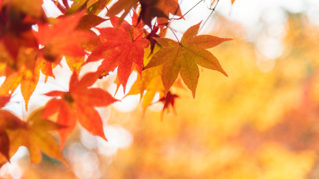 More sunny, mild late October weather in Minnesota Tuesday — WCCO / CBS Minnesota, St. Louis Park Business news