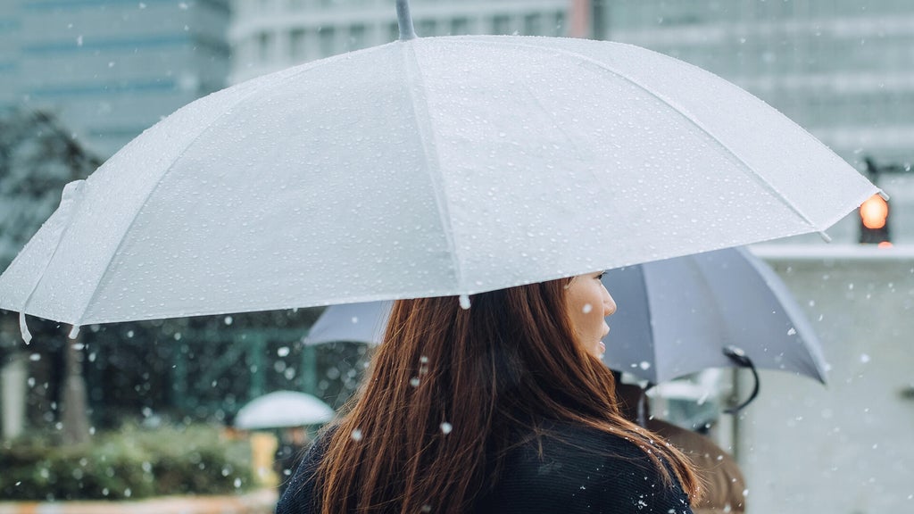 Soggy, chilly Thursday in the Twin Cities; season's first frost possible Saturday — WCCO / CBS Minnesota, St. Louis Park Sports news