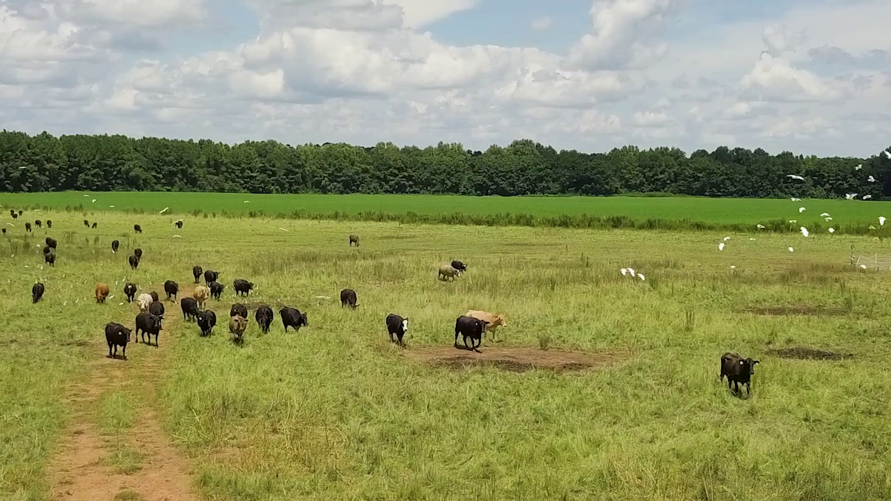 5 ON YOUR SIDE: Regenerative agriculture — St. Louis Park Health news