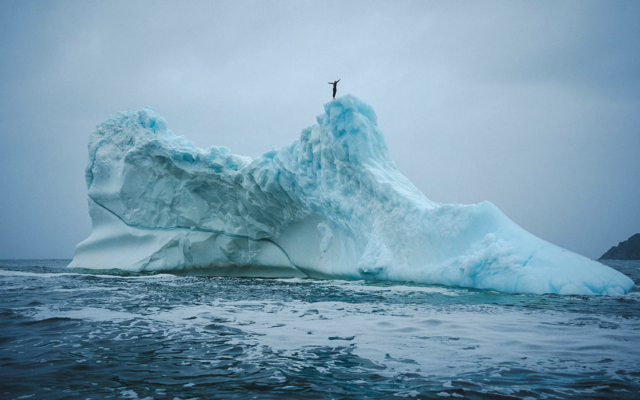 Cliff diver Molly Carson makes history, becomes first woman to dive off iceberg — WPBF Sports Palm Beach