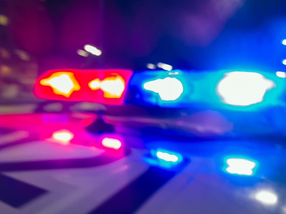 Bradenton Man Dies After SUV Crashes Into Tree In Sarasota County — Sarasota Patch, St. Louis Park Health news