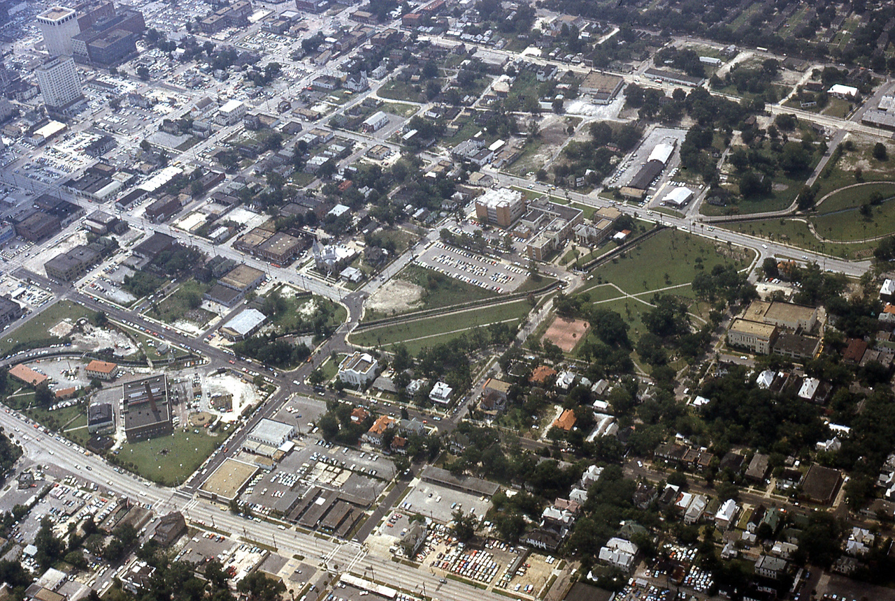 THE JAXSON | The oak tree that remembers Black Bottom — Jacksonville Today, St. Louis Park Schools news