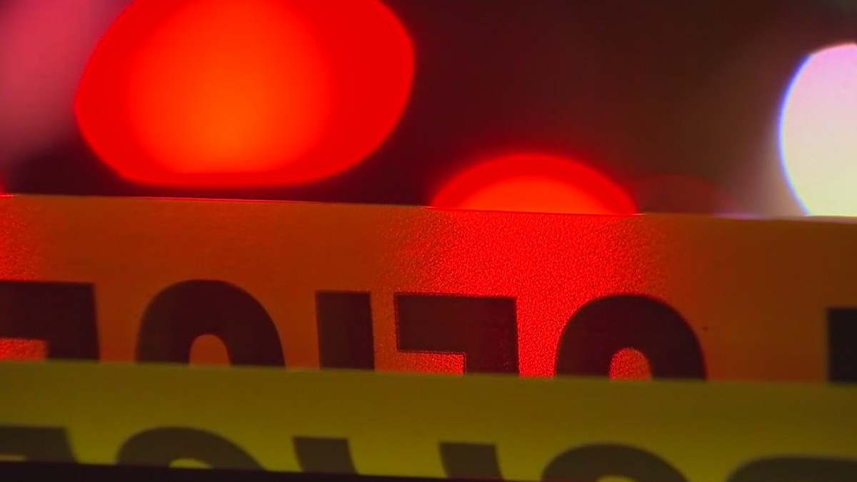 Eden Prairie homecoming shooting: Riot suspect charged in separate graduation gun incident — FOX 9, St. Louis Park Schools news