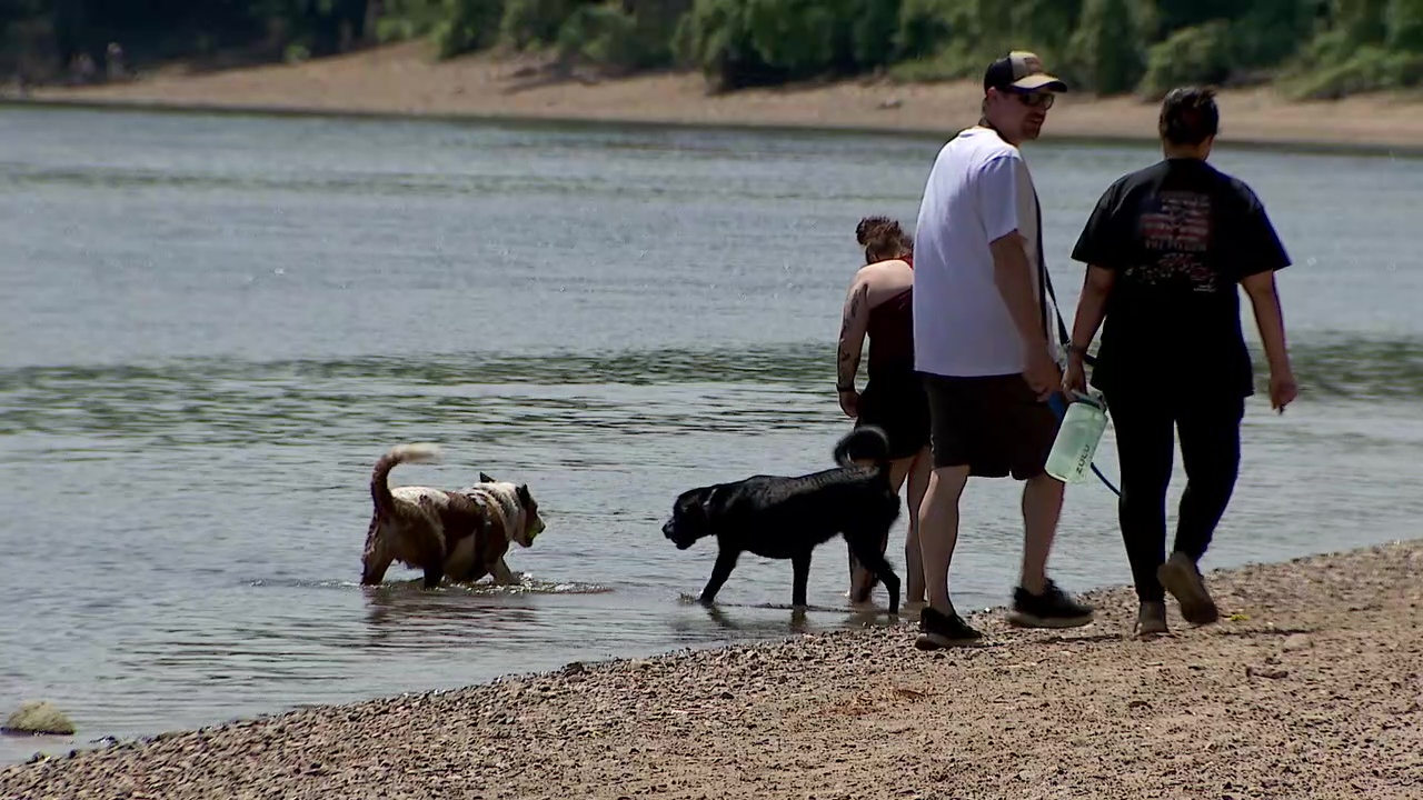 Minnehaha Dog Park ending off-leash use in December despite public outcry — St. Louis Park Community news