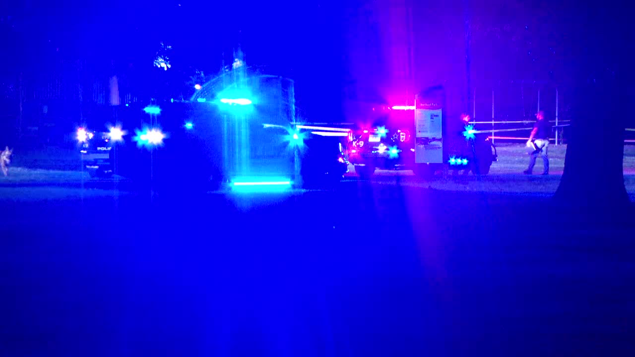 Brooklyn Park teen shooting suspect ordered to stand trial as adult — FOX 9, St. Louis Park Community news