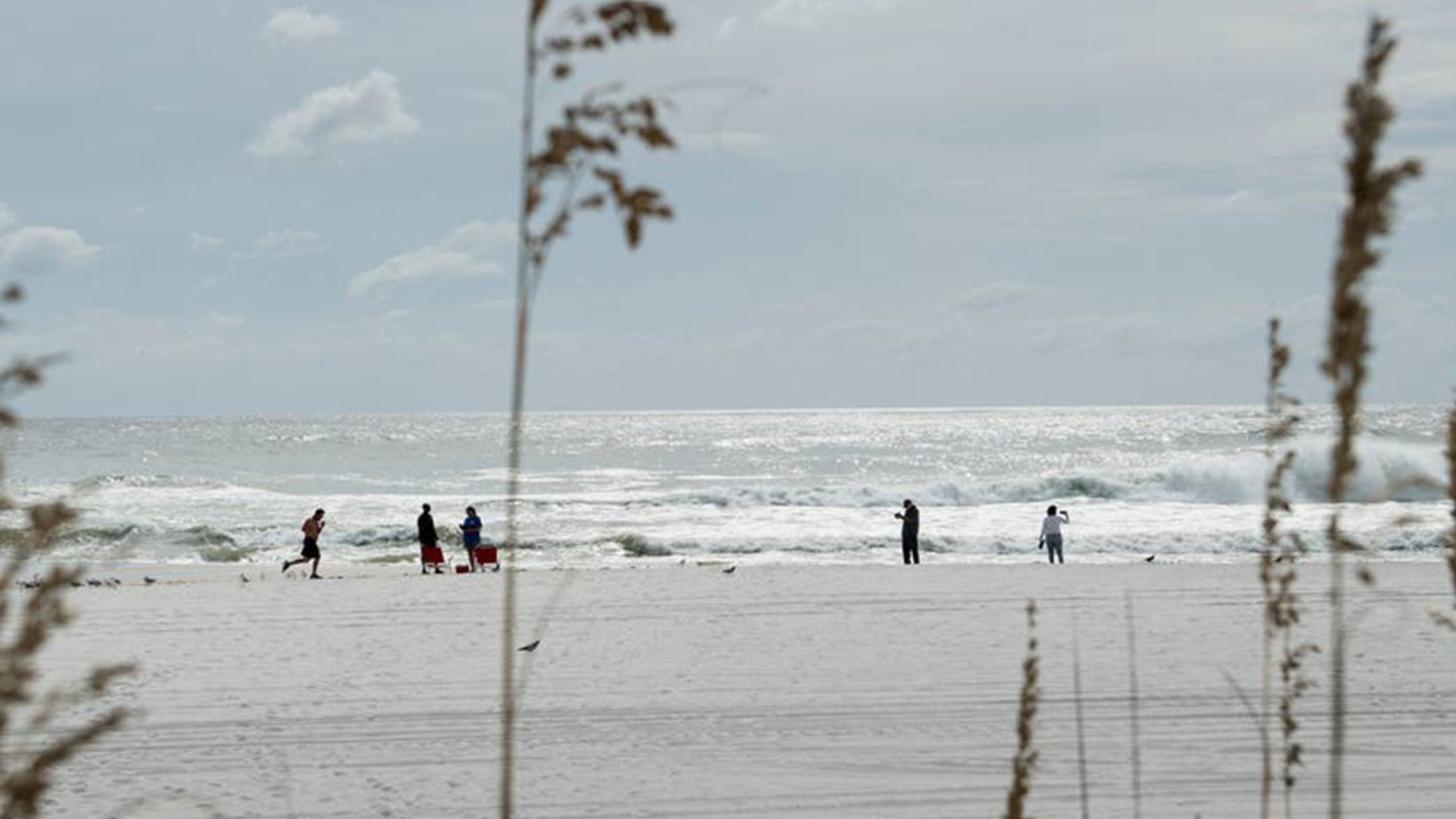 Father of 2 drowns after being caught in current trying to rescue seagull caught in fishing line — St. Louis Park Community news