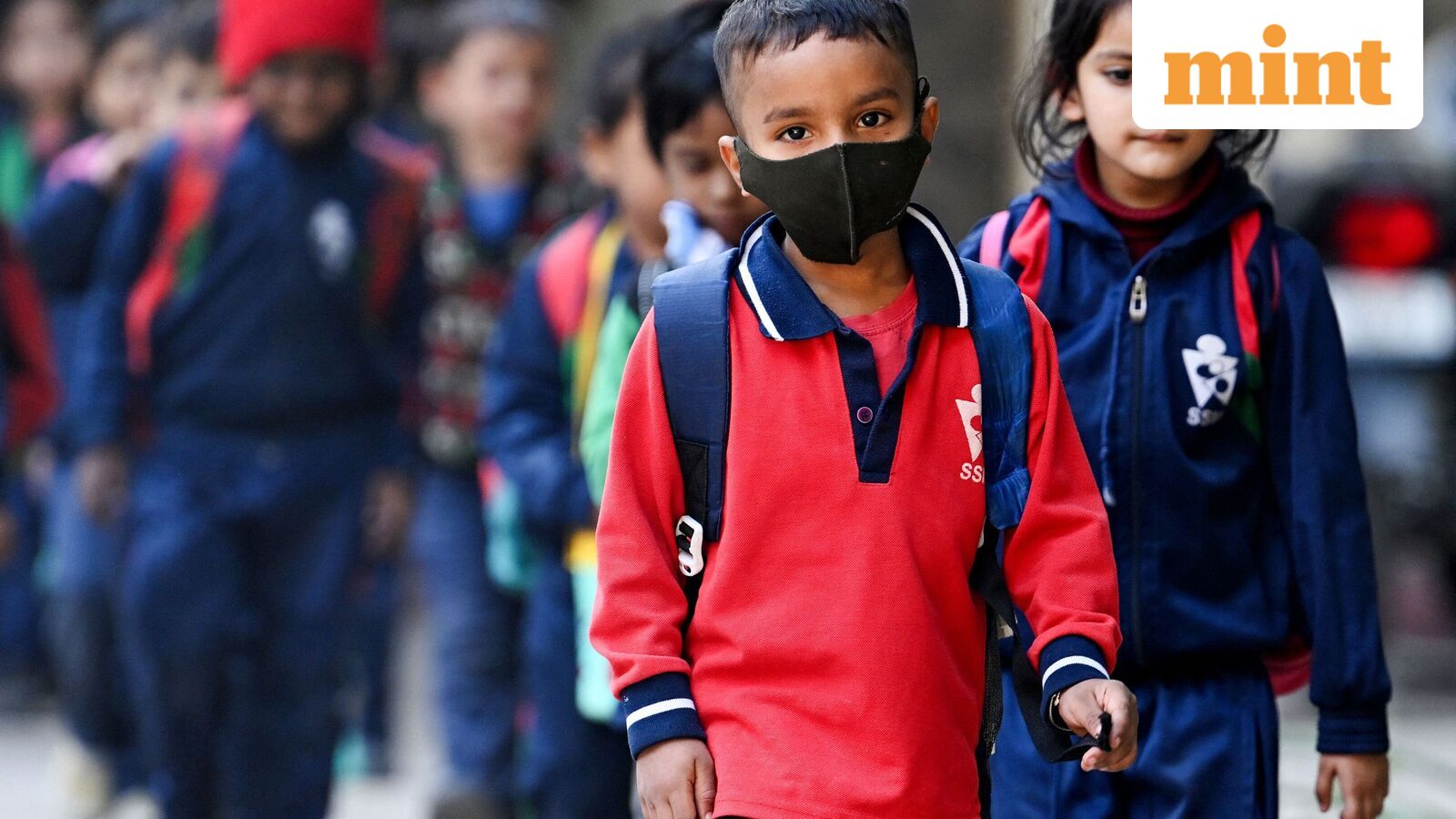 Chennai school holiday, Oct 21: Schools shut in four Tamil Nadu districts as heavy rains predicted | Check IMD alert — Mint India, St. Louis Park Schools news